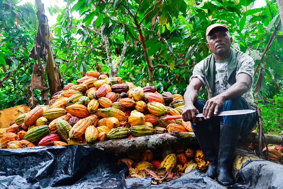 chocolate-tumaco8
